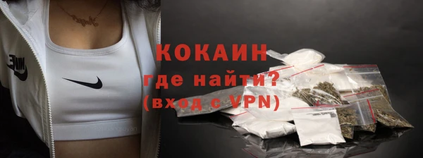 ешки Аркадак