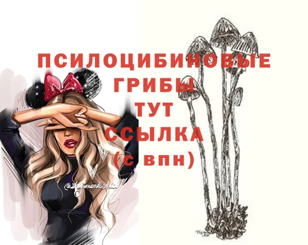 ешки Армянск